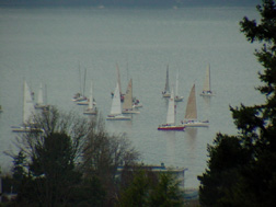 Large Catamarans and small sailing vessels.