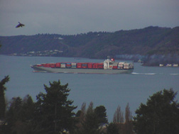 The Circle K - Cargo Ship