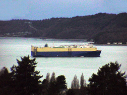 Below Deck Container Ship