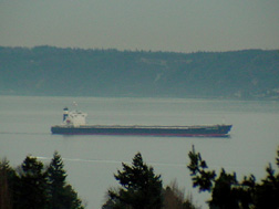 Freighter on Puget Sound.